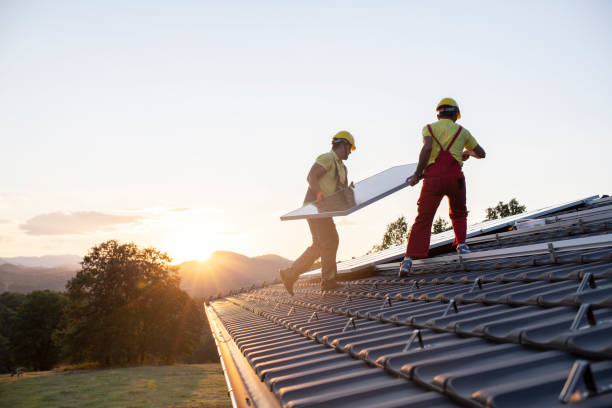 Best Roof Maintenance and Cleaning  in Skokie, IL